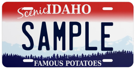  License Plate Design