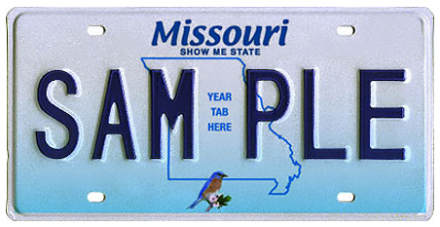  License Plate Design