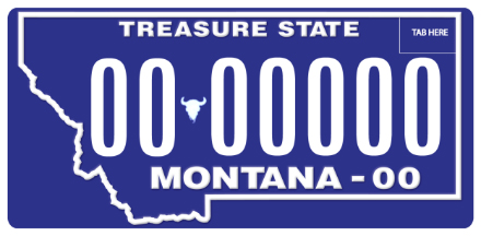  License Plate Design