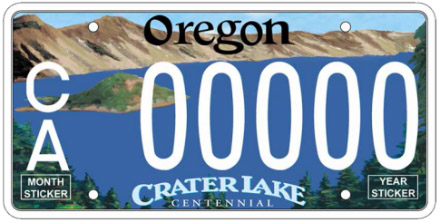  License Plate Design