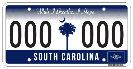  License Plate Design